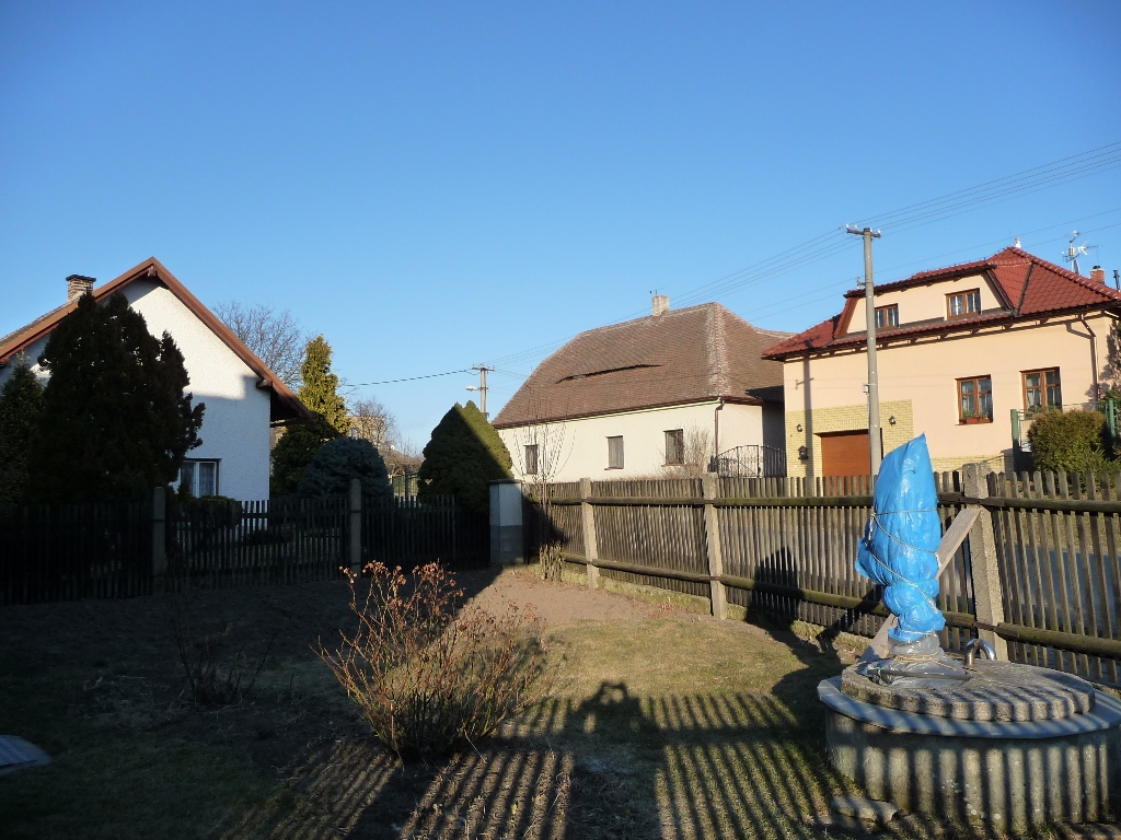 Třibřichy